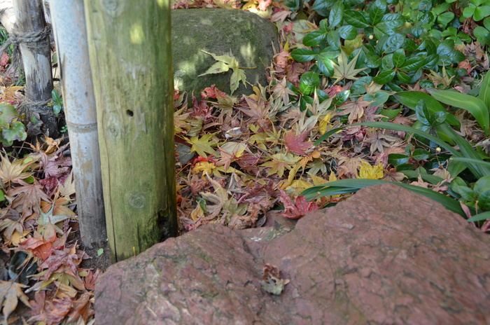 c0202242_109111.jpg