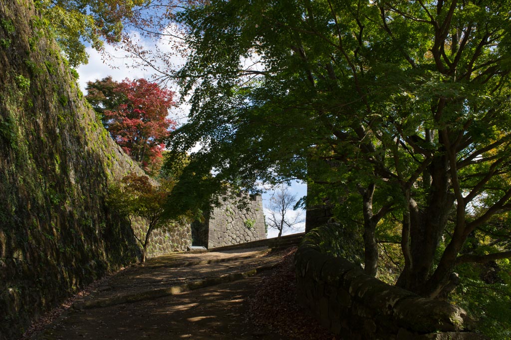 ◆岡城址　Ⅰ　大分県竹田市_b0023047_525397.jpg