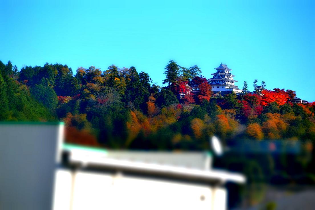a0055650_21182766.jpg