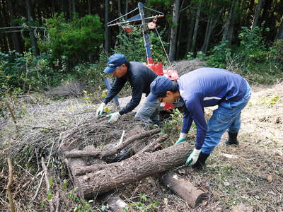 原木しいたけ 原木の運搬作業は驚きの連続!!その1_a0254656_17211859.jpg
