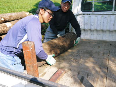 原木しいたけ 原木の運搬作業は驚きの連続!!その1_a0254656_17491750.jpg
