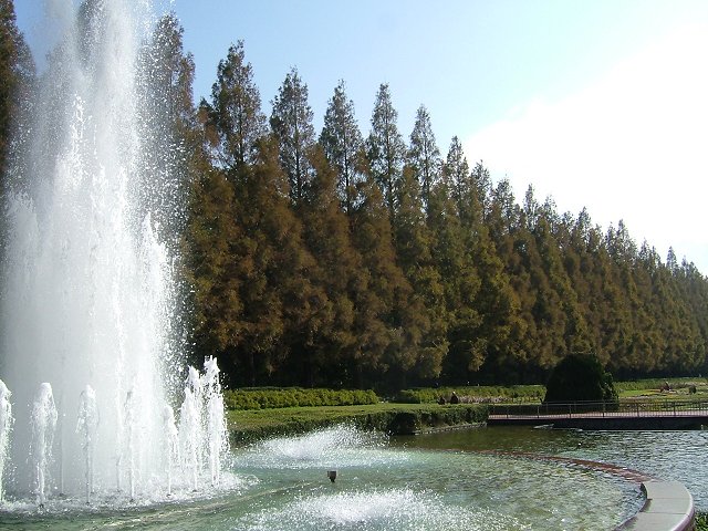 a0226059_21121711.jpg