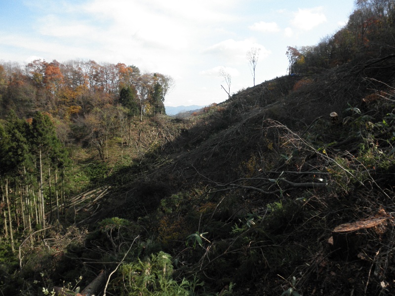 c0016259_21175667.jpg