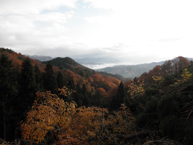 c0016259_21184879.jpg