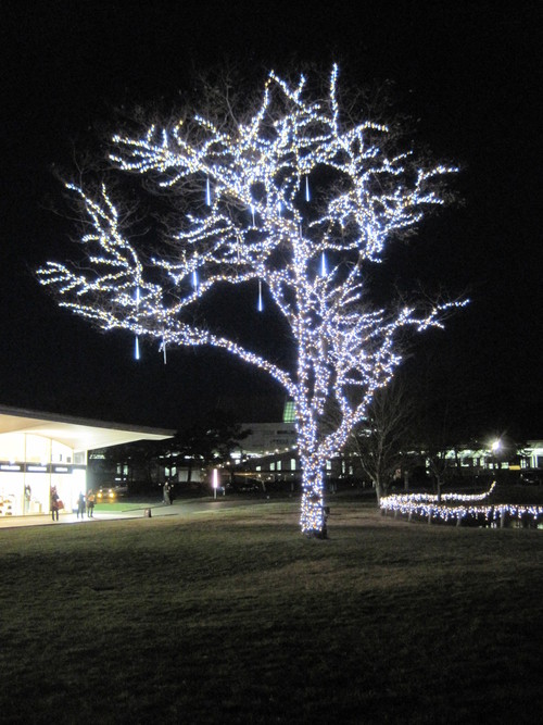 f0236260_2341945.jpg