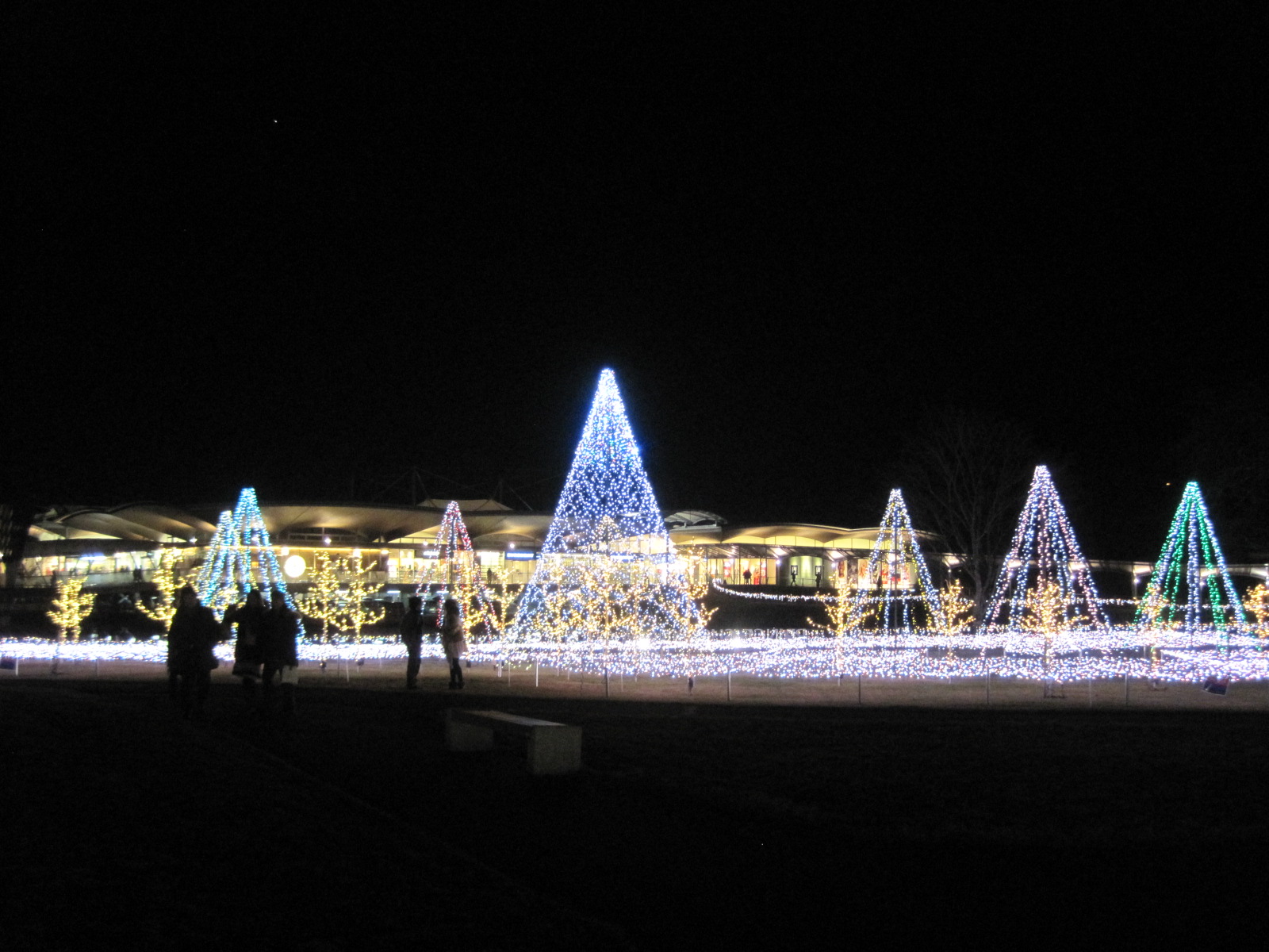 f0236260_2363441.jpg