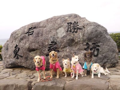 カニ旅行 in 福井県三国町_a0119263_15203544.jpg