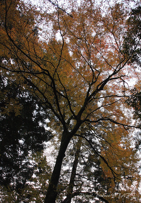 d0223176_01787.jpg