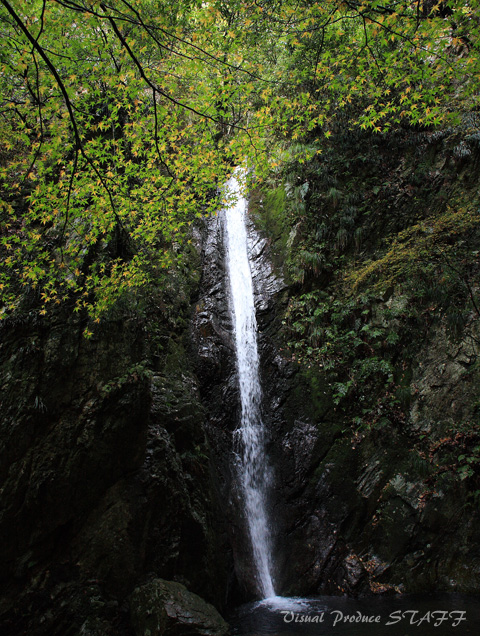 d0223176_08371.jpg