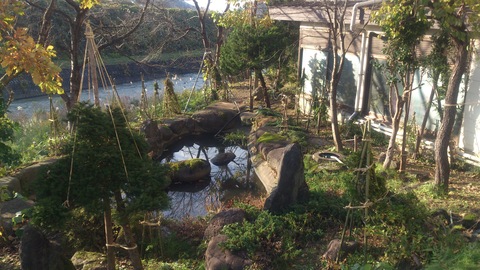 新柳の冬囲い完了。_d0182179_21555025.jpg