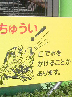 f0228680_9294862.jpg
