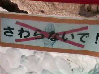 f0228680_934934.jpg