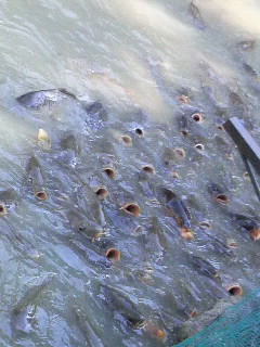 f0228680_9415199.jpg