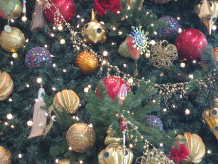 b0204887_17374731.jpg