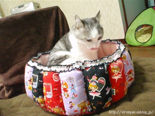 お気に入りのお姫様猫ベッド_a0159490_14273988.jpg