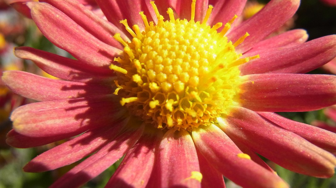 a0152692_17592696.jpg