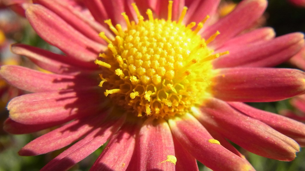 a0152692_1804456.jpg