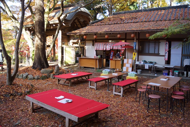 綺麗～有馬温泉の秋、有馬温泉の観光スポット、有馬温泉紅葉の見所、日本維新の会に期待今回の総選挙②_d0181492_0194393.jpg