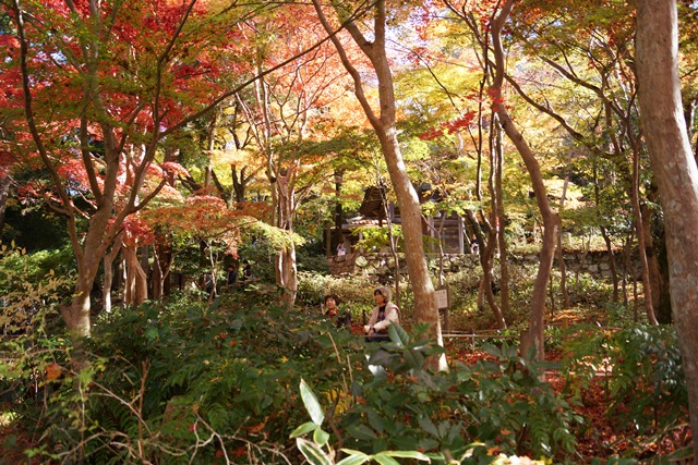 綺麗~有馬温泉の秋、有馬温泉の観光スポット、有馬温泉紅葉の見所、日本維新の会に期待今回の総選挙②_d0181492_8275744.jpg