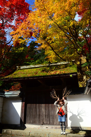 「室生 芸術の森・曽爾高原」 写真遠足（11/18）_f0144892_14542739.jpg