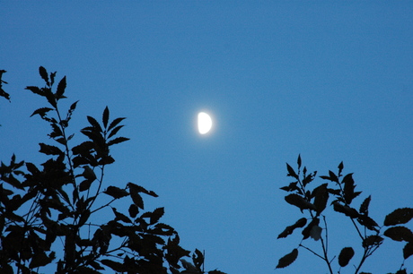 d0234293_527710.jpg