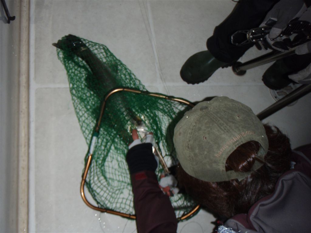 c0177497_14187.jpg