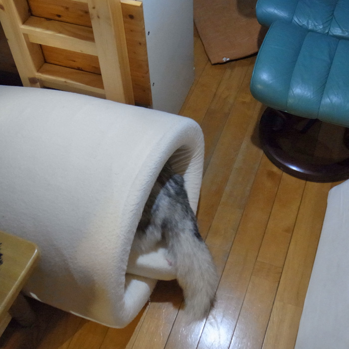 秋の行楽シーズン_c0049299_10511025.jpg