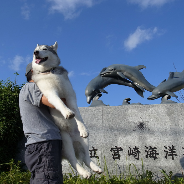 秋の行楽シーズン_c0049299_10523733.jpg