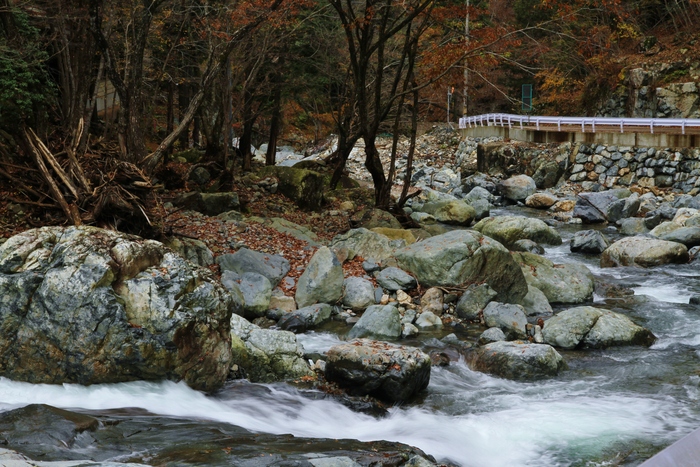 悠久の流れ　　　　≪　　　渓谷の紅葉　　　≫_a0140000_23112139.jpg