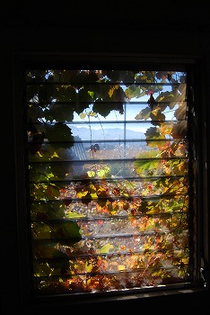 c0124100_11485338.jpg