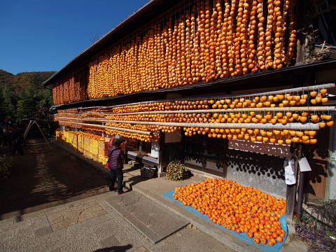 c0039501_9354121.jpg