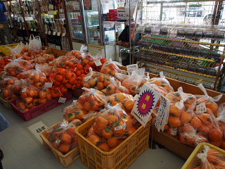 c0039501_935498.jpg