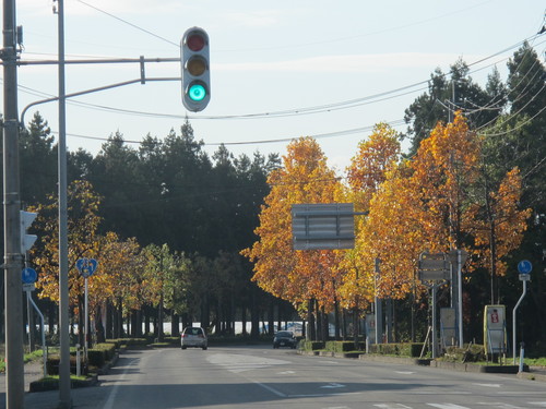 新島八重の故郷・会津へ晩秋の旅・・・（４）_c0075701_16203316.jpg