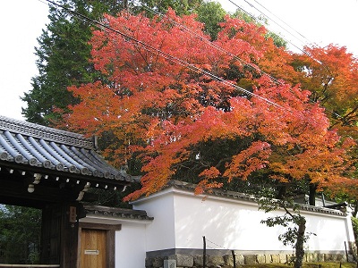 d0090001_002275.jpg