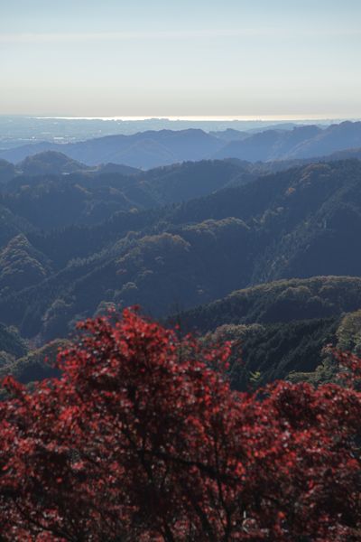 d0148902_21432345.jpg