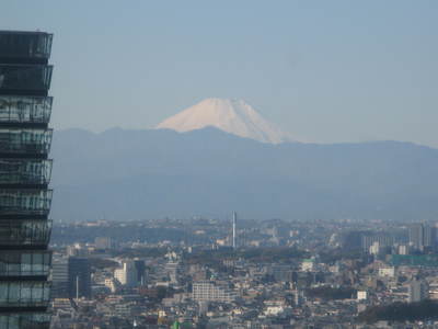 お江戸一人旅2012_d0174502_2216054.jpg