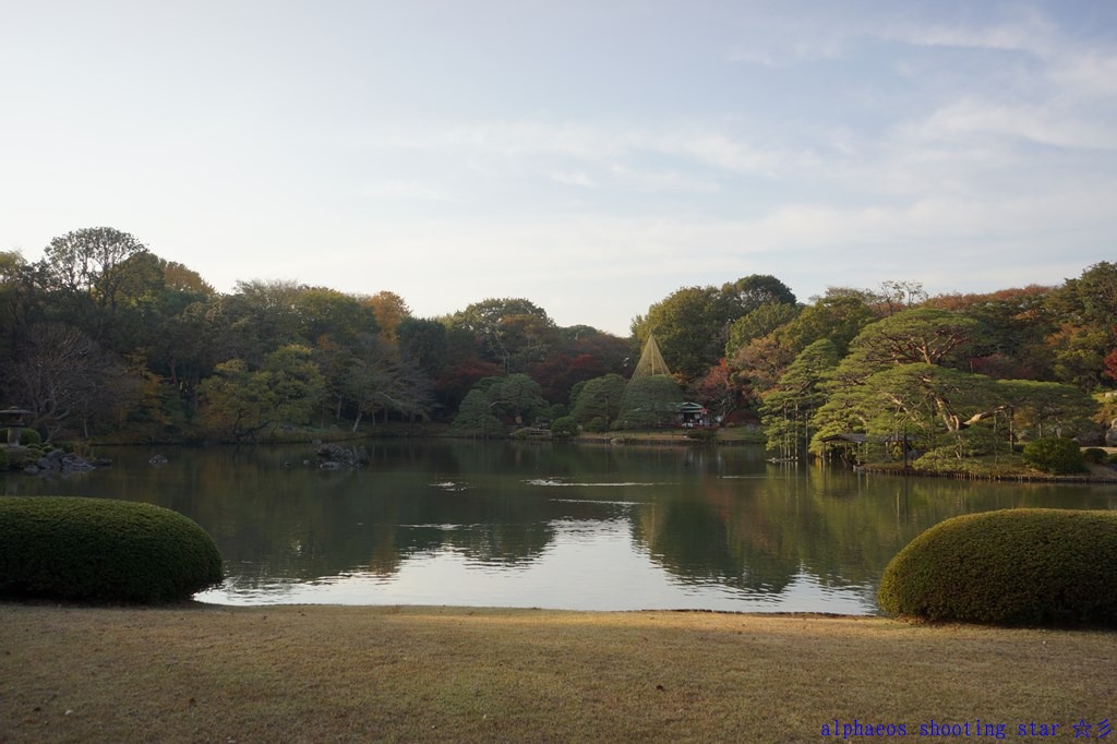 2012年11月22日　E 10-18mm in 六義園１_a0060403_16403475.jpg