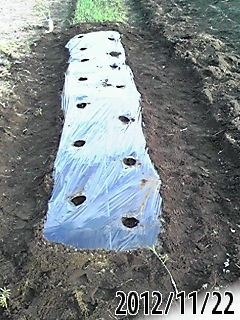 e0270403_0192282.jpg