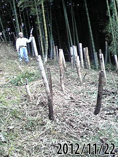 e0270403_032034.jpg