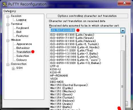 Putty を SUSE Linux で使う場合のちょっとした変更点_a0056607_15472496.jpg