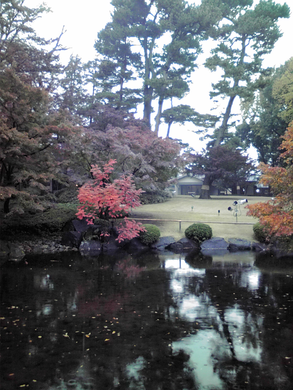 大田黒元雄旧居が公園になっています 松浦靖子でございます