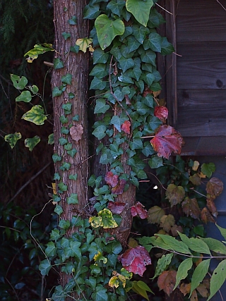 c0156908_22383472.jpg