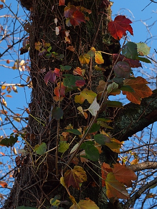 c0156908_22412562.jpg