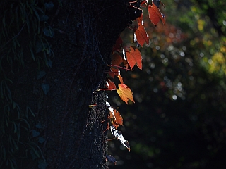 c0156908_2242289.jpg