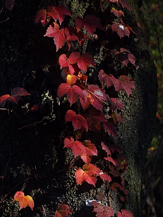 c0156908_2244140.jpg