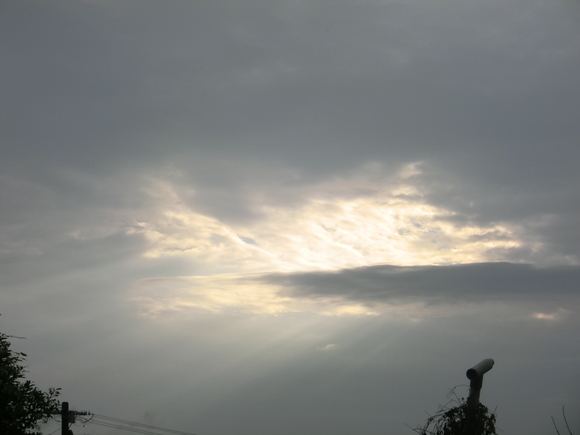 d0237309_2157246.jpg