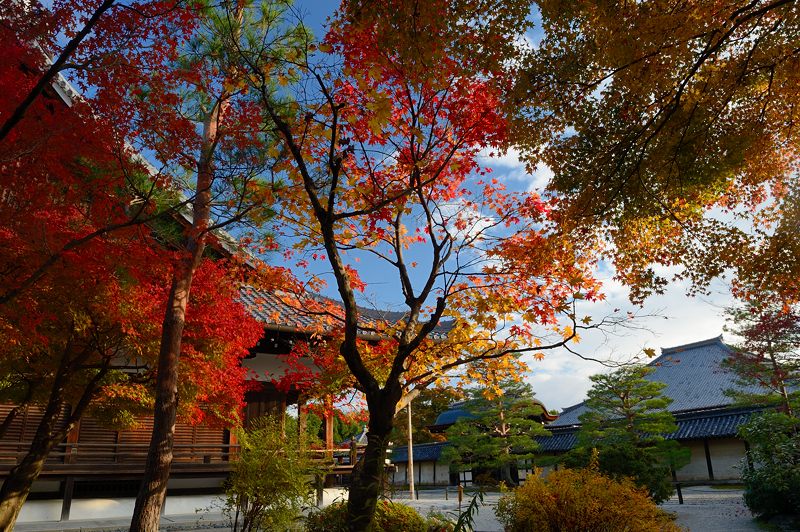 2012京都の紅葉・天龍寺_f0032011_16144520.jpg