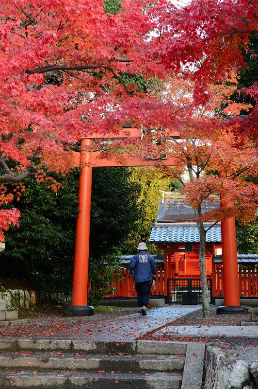 2012京都の紅葉・天龍寺_f0032011_16302795.jpg