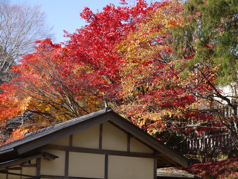 鹿沼　古峰園へ紅葉狩り。_b0116313_2329262.jpg