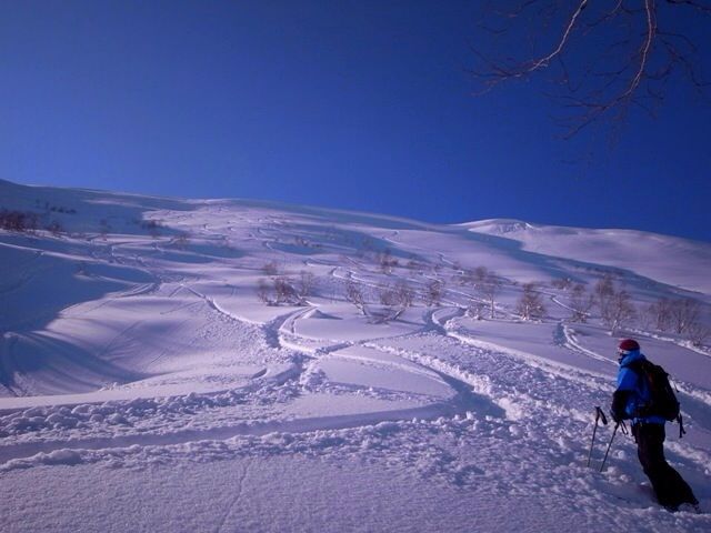 c0154313_1962482.jpg